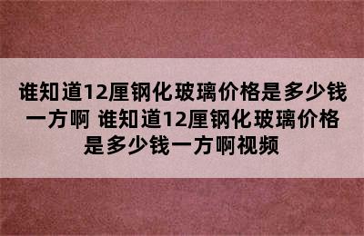 谁知道12厘钢化玻璃价格是多少钱一方啊 谁知道12厘钢化玻璃价格是多少钱一方啊视频